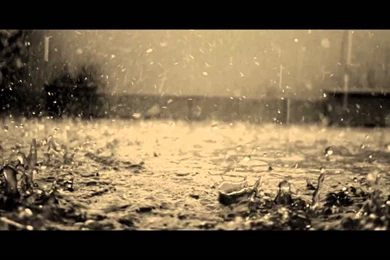 By The Way Of Rain Shall I Return (წვიმად ...