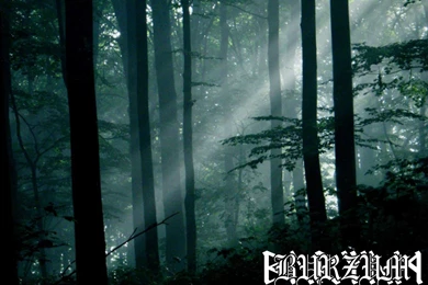 Media/   Music / Uploads