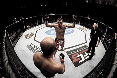 Fighting Sports MMA UFC BJ Penn Nick Diaz Fresh New HD Wallpapers ...