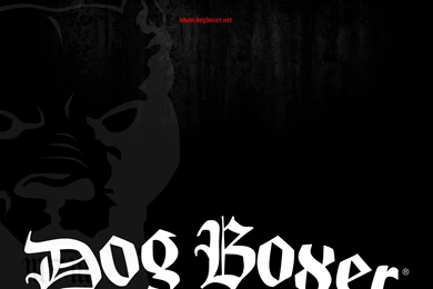 Wallpapers Mma Boxer Dog Clothing Boxing Kickboxing Respect The ...