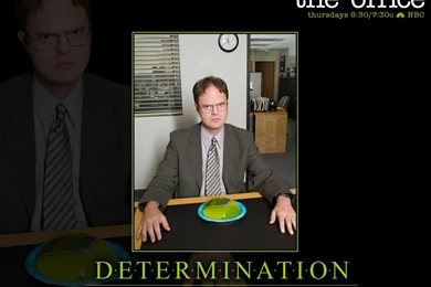 The Office Wallpapers