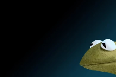 Wallpapers White Tile Kermit Wallchan 1366x768