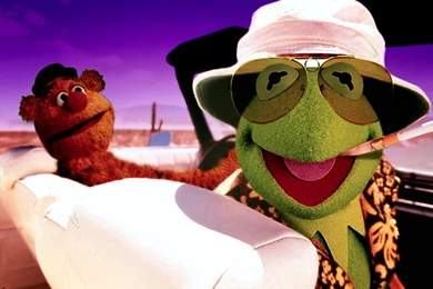 Download Kermit The Wallpapers 1920x1200