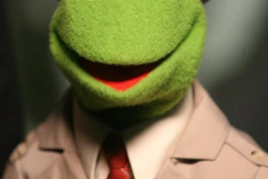 Kermit Disney Picture, Kermit Disney Photo, Kermit Disney Wallpapers