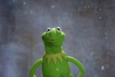 RePin Image: Kermit The Frog Angry Kermit On Pinterest
