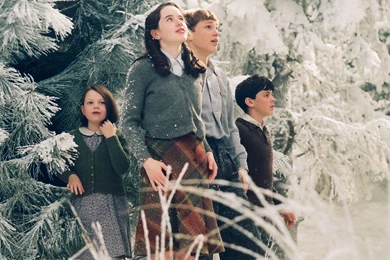 Peter Susan Edmund And Lucy, Narnia, 1920x1080 HD Wallpapers And ...