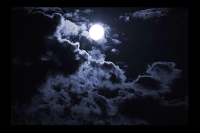 Beautiful Child Of Night Scary