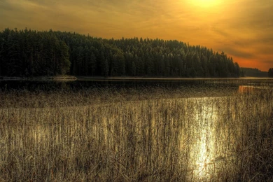 Sunsets: Sunset Lake Nature Trees Desktop Background Images For ...