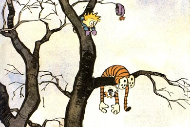 Hey Reddit! I Couldn't Find Any Calvin & Hobbes Wallpapers That ...