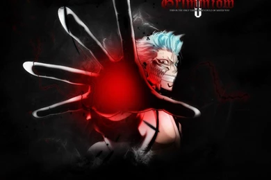 1326 Bleach Grimmjow Black Wallpapers 1240x940 Customity Jpeg 1240 ...