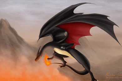 Celebrity Wallpapers And Pictures Pokemon Pictures: Black ...