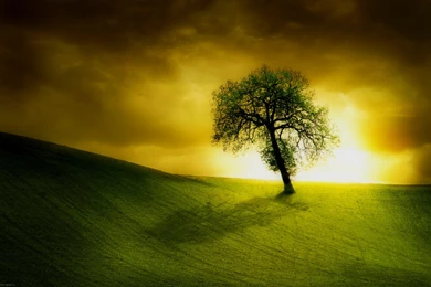 Compilation Of 25+ HD Abstract Wallpapers For Your Inspiration ...