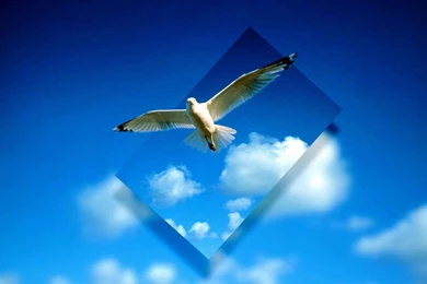 Wallpapers Background: Perspective Wallpapers