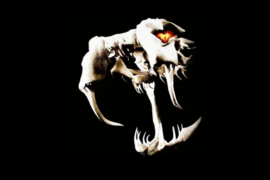 Wwe World Wrestling Entertainment Logos Randy Orton Wallpapers ...