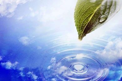 Animated Moving Wallpapers For Mobile Free Download Best HD ...