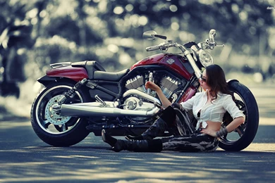 Harley Davidson Wallpapers