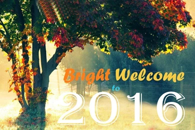 New Year 2016 Wallpapers For PC Windows 7,8,10 And Mac