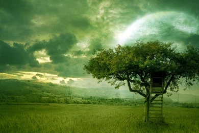 Golden Dream Wallpapers By Moroka323 On Deviantart   (