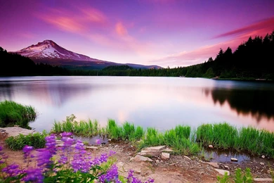 Scenery Image Collection (37+)