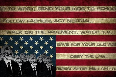 Usa Parody Democracy