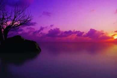 Purple Haze Sun Setting Wallpapers (