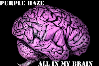 Purple Haze By Eib29 On DeviantArt