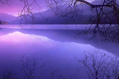 Purple Haze, Winter, 1920x1080 HD Wallpapers And FREE Stock Photo