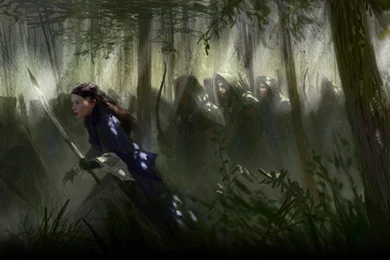 Arwen   The Lord Of The Rings Wallpaper,movies HD Wallpapers ...