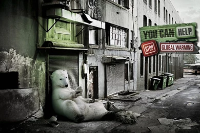 Stop Global Warming Wallpapers