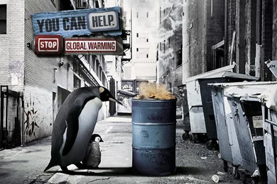 Wallpapers Global Warming The Free Stop 1024x768