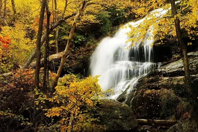 Global Warming Desert