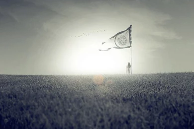 Browsing Wallpapers On DeviantArt