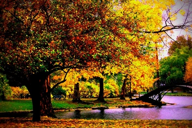 Free Autumn Desktop Backgrounds – 1600×1000 High Definition ...