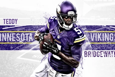 Minnesota Vikings 2014 Wallpapers