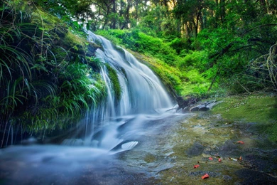 YouWall   Green Forest Waterfall Wallpapers   Wallpaper,wallpapers ...