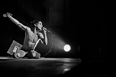 11 Iggy Pop HD Wallpapers