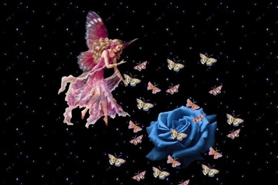 Pink Fairy And Blue Rose Backgrounds Wallpapers