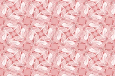 Pink Fairy Backgrounds Wallpapers Cave