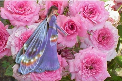 FLOWER FAIRY WALLPAPER   (