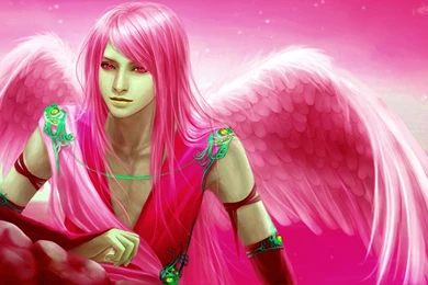 Pink Fairy   (