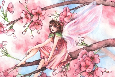 Flower Fairy Wallpapers   Wallpapers HD Fine