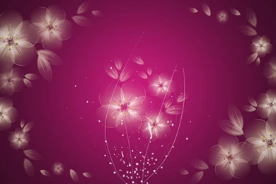 Abstract Desktop Desktop Wallpapers Pink Color Wallpapers