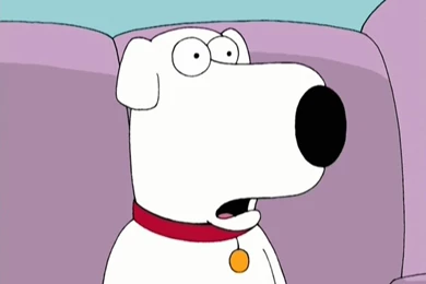 Brian Family Guy Images