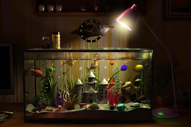 Desktop Wallpapers · Gallery · Windows 7 · Happy Aquarium