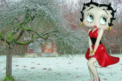 Betty Boop Wallpapers At Wallpaperist