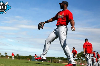 2015 NL Central Preview: The Cardinals Don't Care About Your Cubs ...