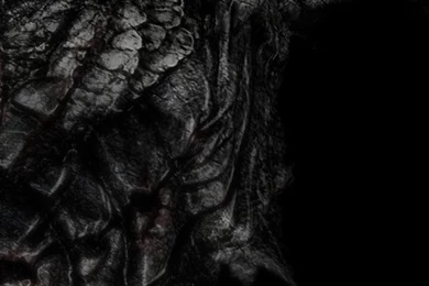 Download Wallpapers 540x960 Dragon, Skyrim, The Elder Scrolls V ...