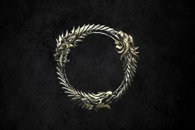 ELDER SCROLLS Fantasy Action Rpg Mmo Online Artwork Fighting ...