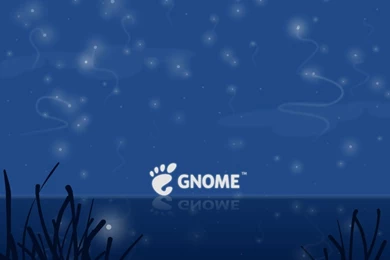 Wallpapers Garden Gnome Larryjw Night Linux Dark Spirng Nights Jpg ...