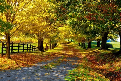 Autumn Season HD Wallpapers